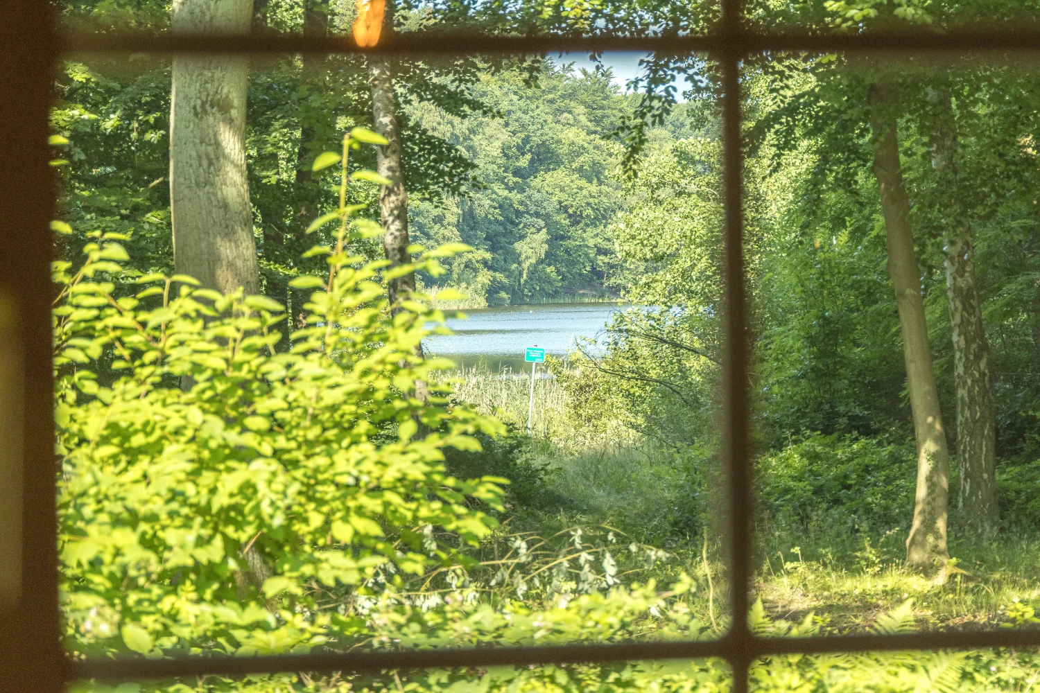 Blick auf den Moonshiner-See