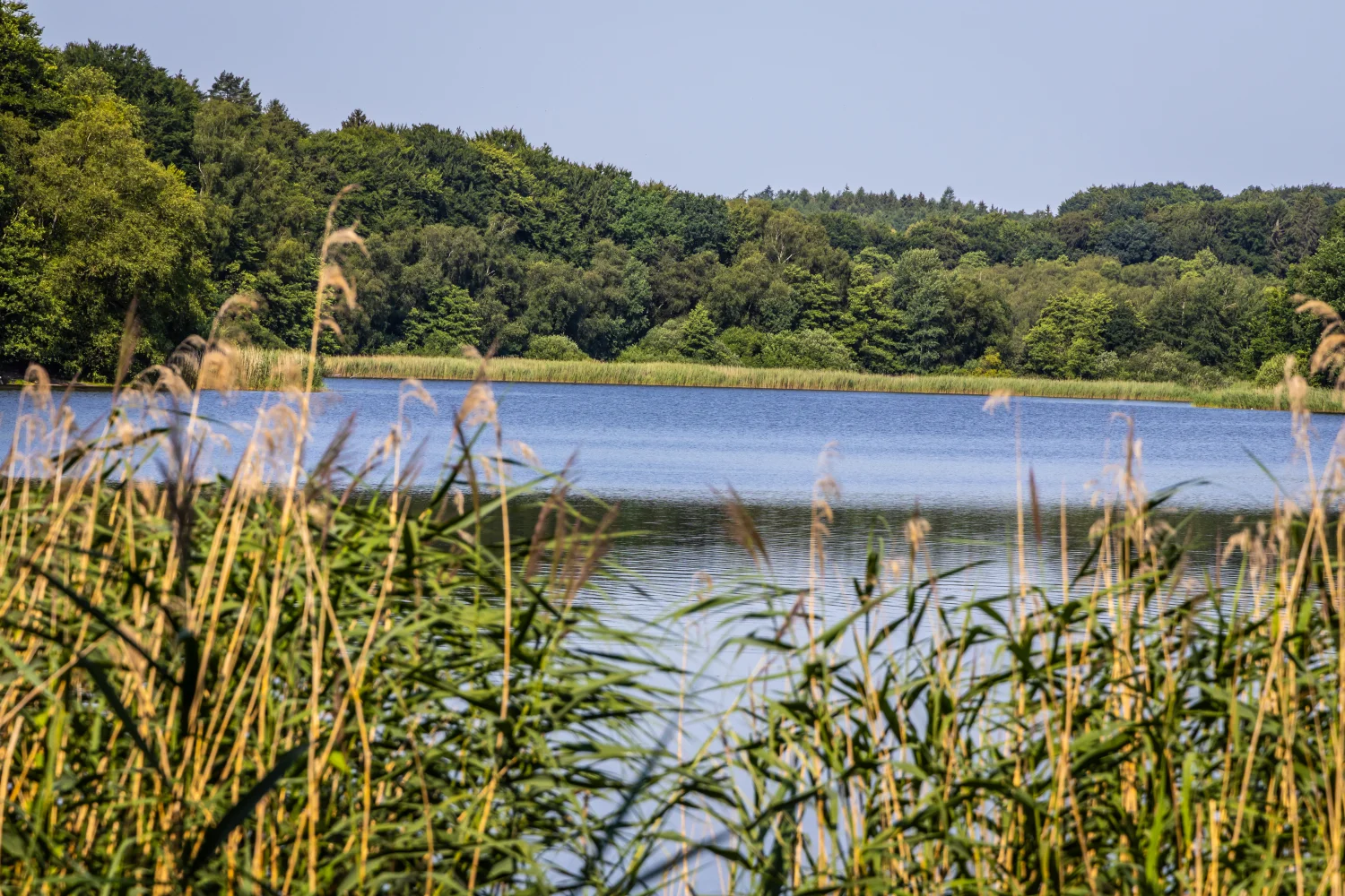 Blick auf den Moonshiner-See